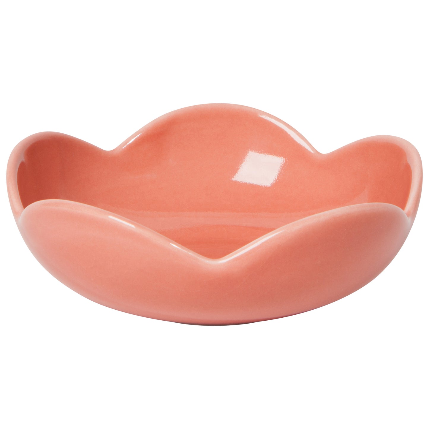 Opus Dish - Sienna