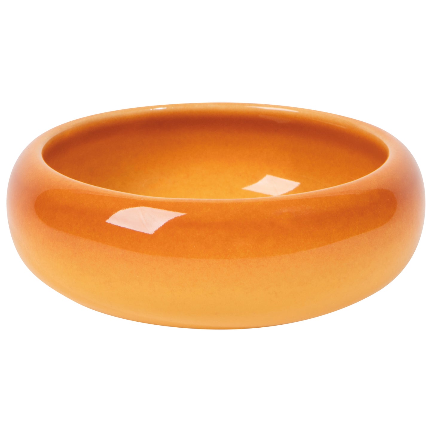Opus Dish - Canyon
