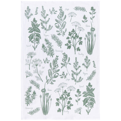 Fresh Herbs Elm Green Floursack Dishtowels Set of 2