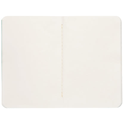 Ribbit Pocket Notebooks Set of 2