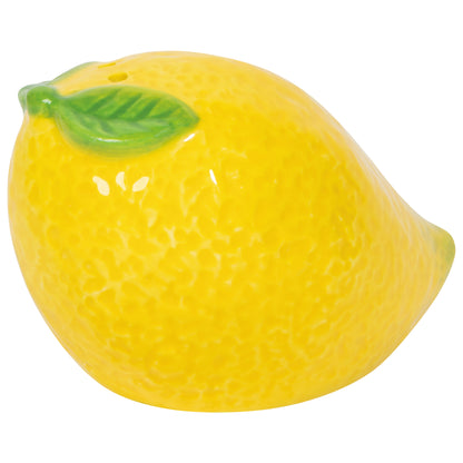 Citrus Burst Salt and Pepper Shakers