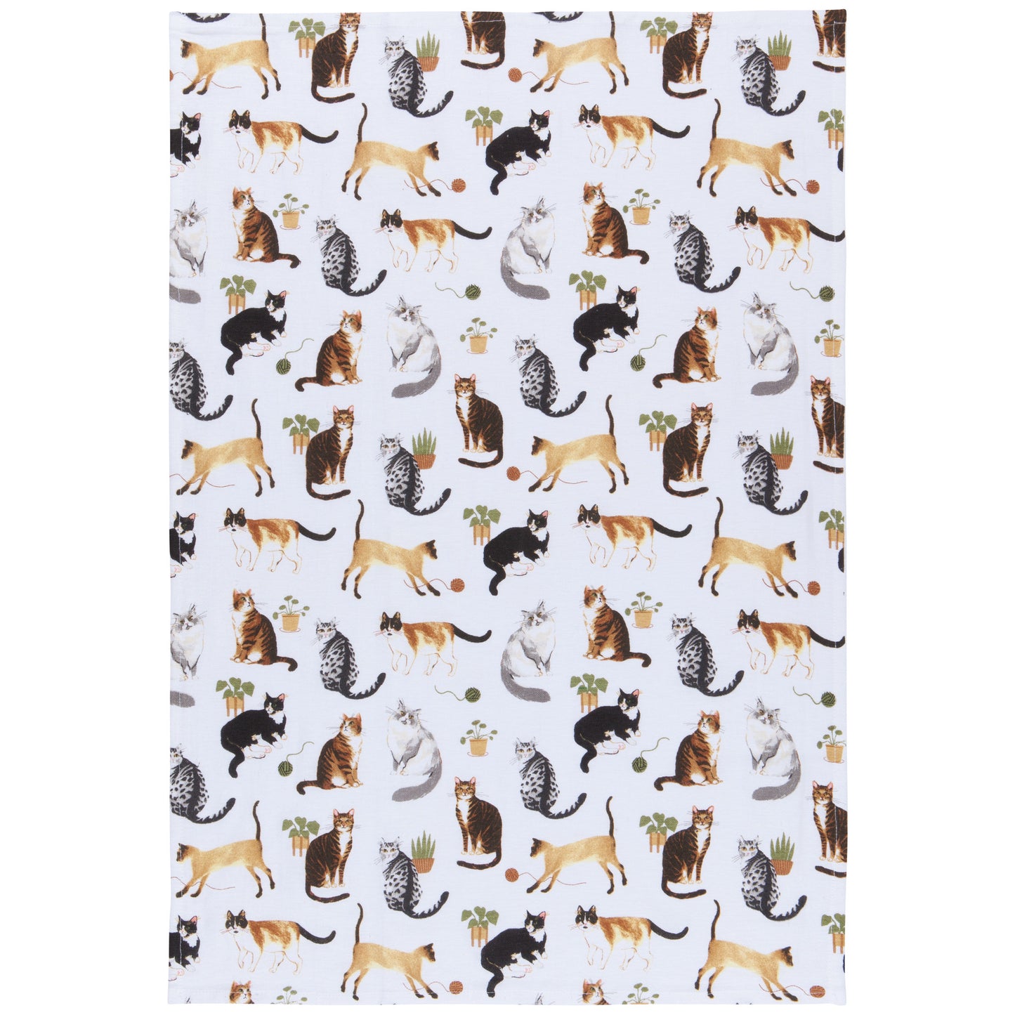 Cat Collective Baker's Floursack Dishtowels Set of 3