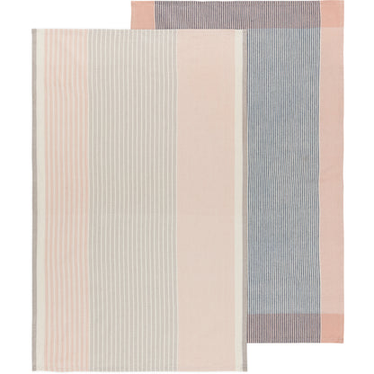 Nectar Array Stripe Dishtowel Set of 2
