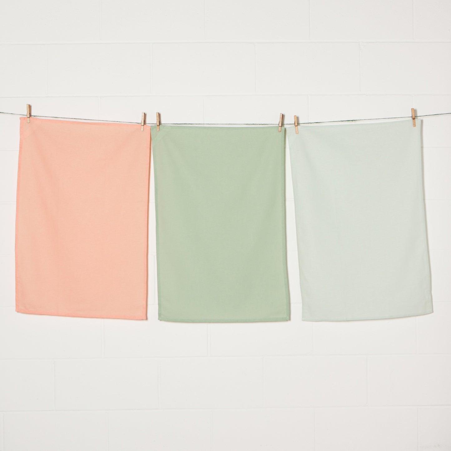 Dawn Eucalyptus Mist Floursack Dishtowels Set of 3